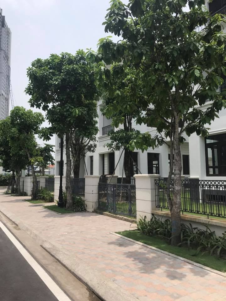 Những lưu ý cần biết khi mua nhà Bình Tân