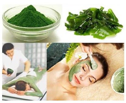 Bột tắm trắng tảo biển - Công nghệ làm đẹp cao cấp từ Nhật Bản