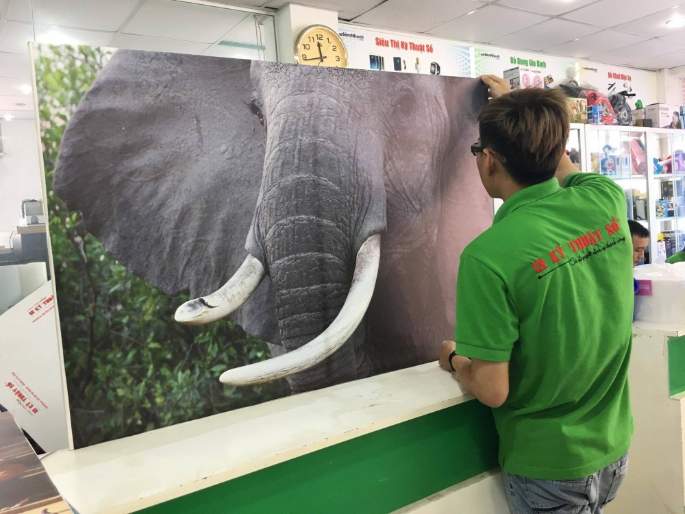 In tranh canvas khổ lớn - in tranh động vật trang trí văn phòng làm việc, không gian văn phòng