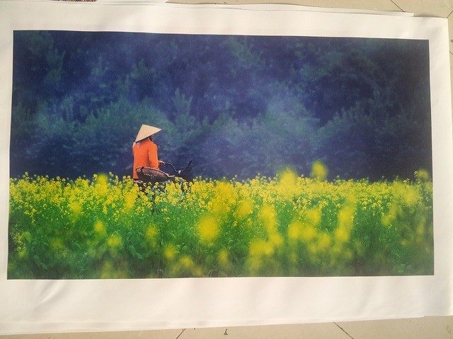 Cánh đồng hoa cải - in tranh thiên nhiên, vùng quê yên bình - tranh in canvas mực nước tại In Kỹ Thuật Số