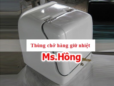 Đánh giá thùng chở hàng giữ nhiệt