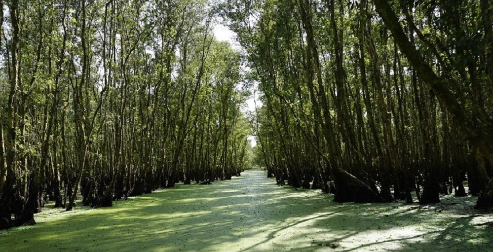 5 thói quen cần từ bỏ để phát huy năng lực thực sự của bạn 