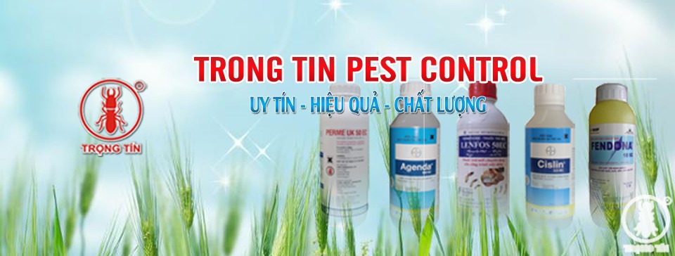 Trọng Tín - Công ty dịch vụ diệt côn trùng hiệu quả, uy tín và chất lượng