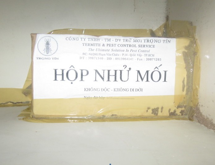 Dịch vụ diệt mối tận gốc cho nhà ở, nội thất hiệu quả và uy tín