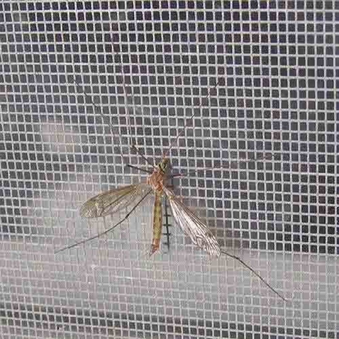 Giá cửa lưới chống muỗi mới nhất(2)