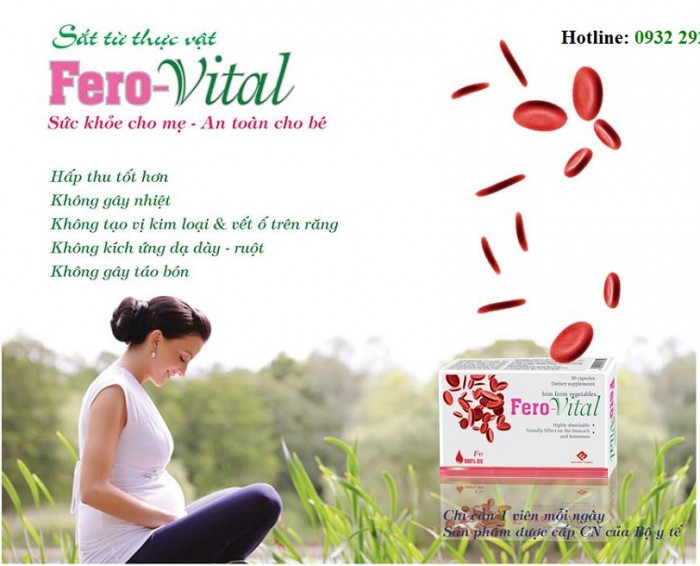 Ferovital viên bổ sung sắt giúp hỗ trợ cho người thiếu máu