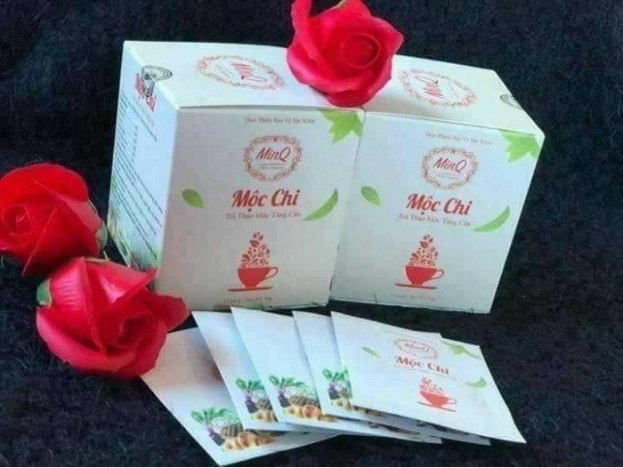 Trà tăng cân Mộc Chi có tốt không?