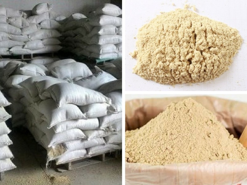 Cám gạo - Giải pháp dinh dưỡng trong chăn nuôi