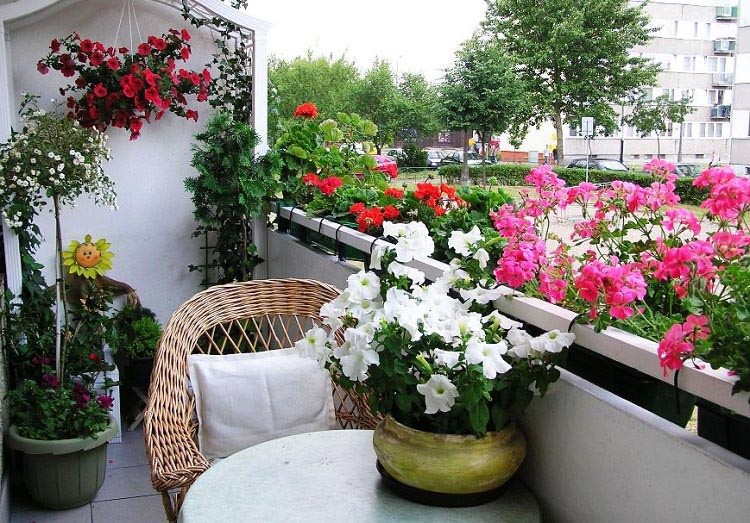 Trang trí ban công rực rỡ sắc màu cùng đệm ngồi họa tiết