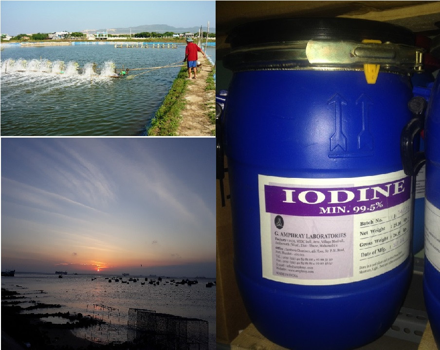 Sử dụng Iodine trong nuôi trồng thủy sản(1)