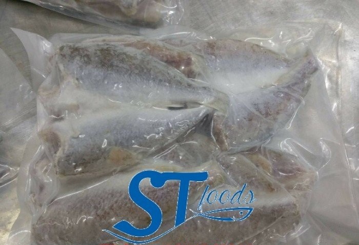 Cách chế biến và bảo quản cá đù 1 nắng