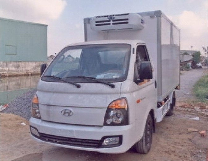 Xe đông lạnh nhỏ Hyundai
