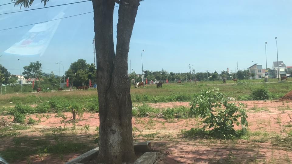 Kinh nghiệm đầu tư đất Nhơn Trạch