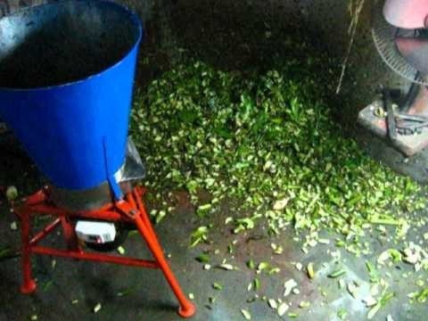 Ứng dụng của máy thái bèo quay tay