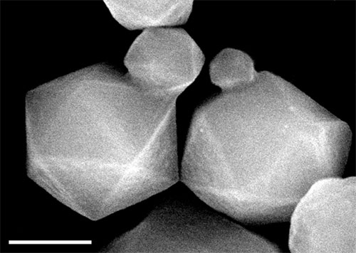 Phát triển vật liệu Composite mới