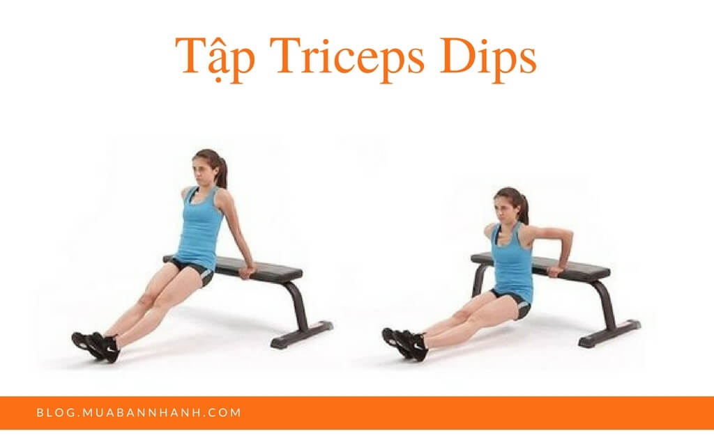 Tập Triceps Dips (thân người trên, cánh tay)