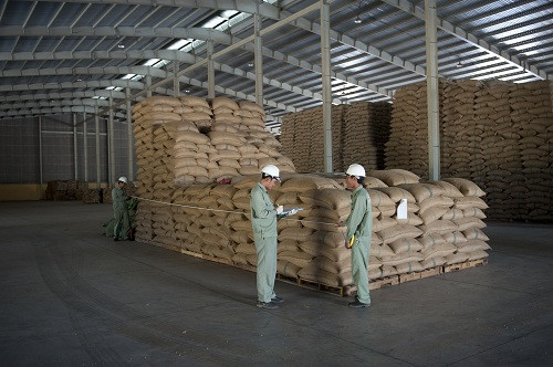 Chọn lựa bao bì đựng bột mì xuất khẩu