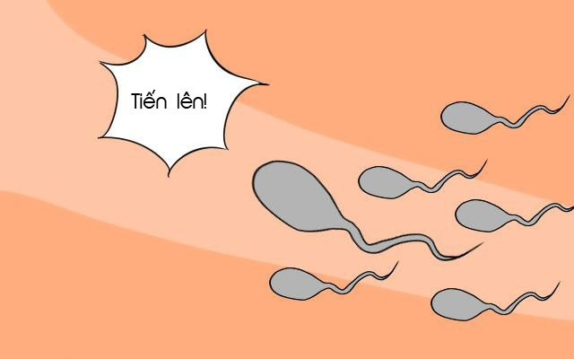 Người bị tinh trùng loãng có thể có con được không?