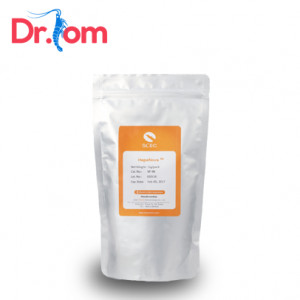 Tìm hiểu vi khuẩn Vibrio là gì?