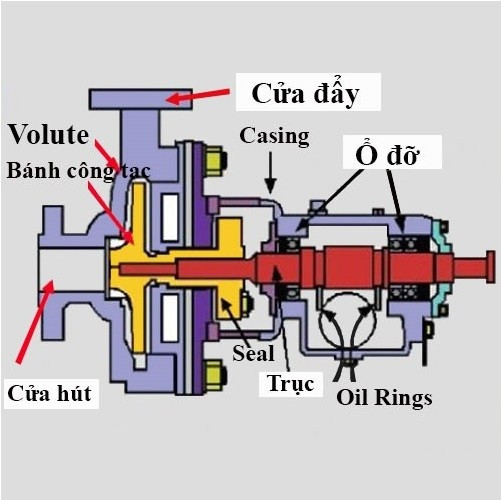 Cấu tạo, nguyên lý hoạt động và công dụng máy bơm ly tâm trục ngang
