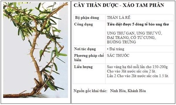 Dấu hiệu ung thư gan và cách phòng ngừa bạn nên biết