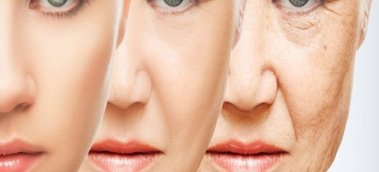 Da đẹp không tuổi đừng bỏ qua bài viết này? Cách bổ sung colagen và elastine giúp trẻ hóa da