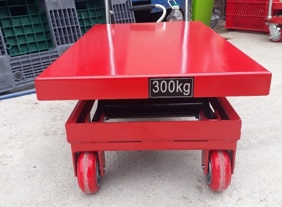 Công ty chuyên bán các loại xe nâng trong công nghiệp: xe nâng bàn, xe nâng cao, xe nâng thấp,... thủy lực, điện, tự động
