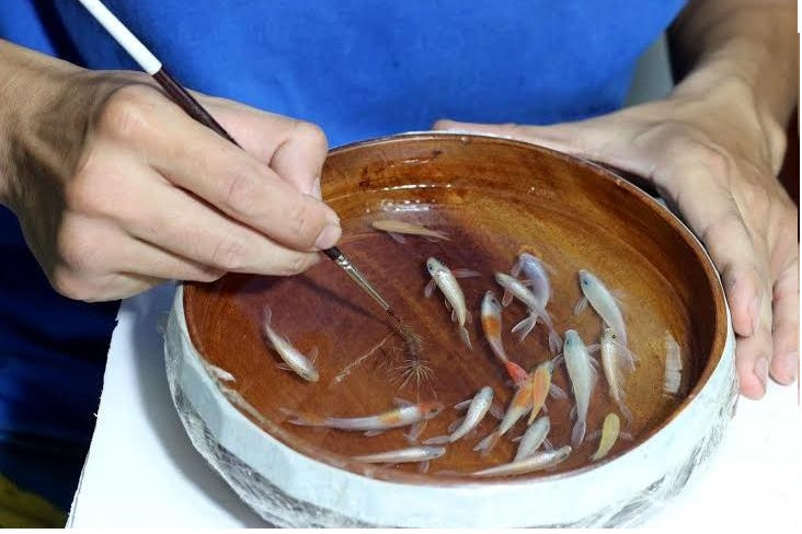 đổ keo epoxy resin trong suốt vẽ tranh cá 3d đẹp độc đáo