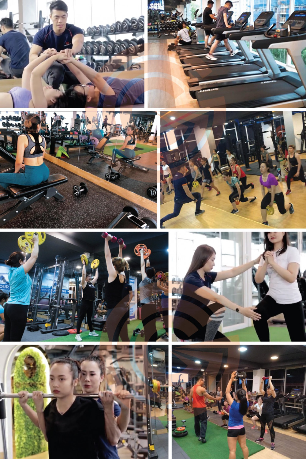 Studio Gym với hơn 200 thiết bị cao cấp từ Châu Âu