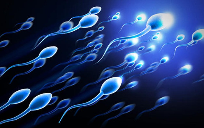 4 dấu hiệu tinh trùng yếu mà nam giới cần biết và lưu ý