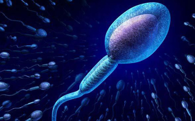 4 dấu hiệu tinh trùng yếu mà nam giới cần biết và lưu ý