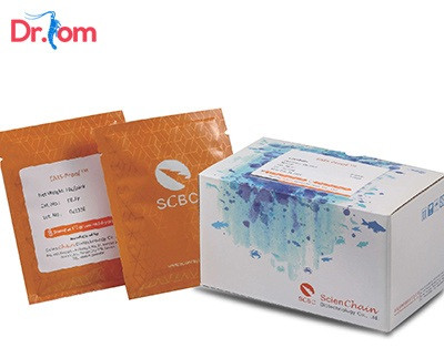 Tác hại của bệnh phát sáng ở tôm và cách phòng trị bệnh hiệu quả