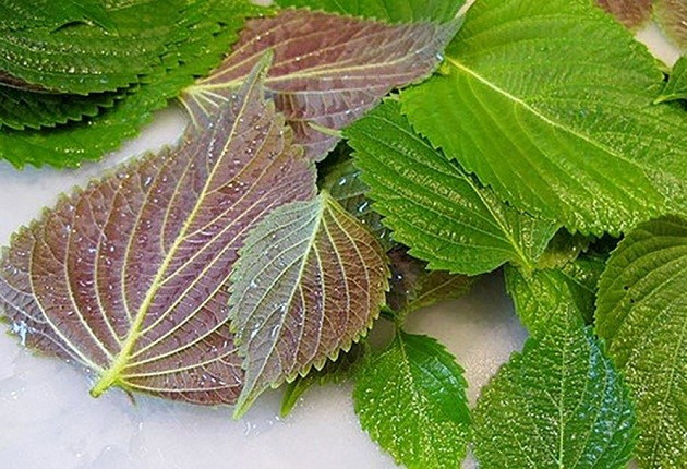 Phương pháp dưỡng trắng da mặt tự nhiên hiệu quả