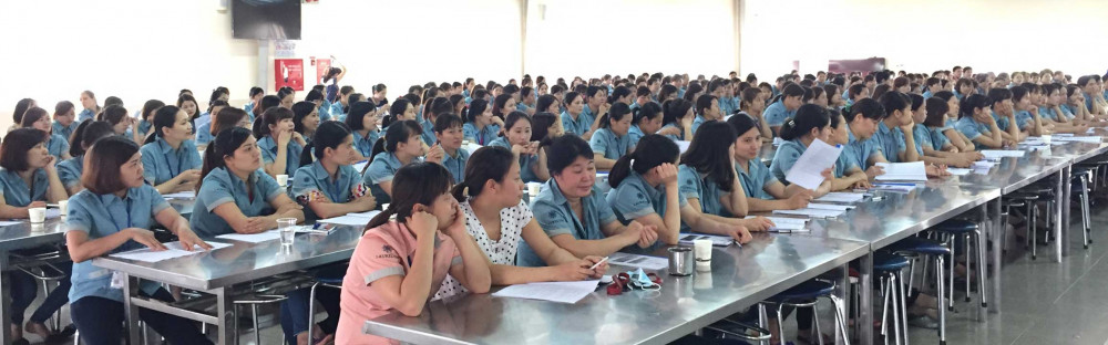 Công ty cổ phần Giáo Dục Phương Đông - Phuong Dong Education Jont Stock Company