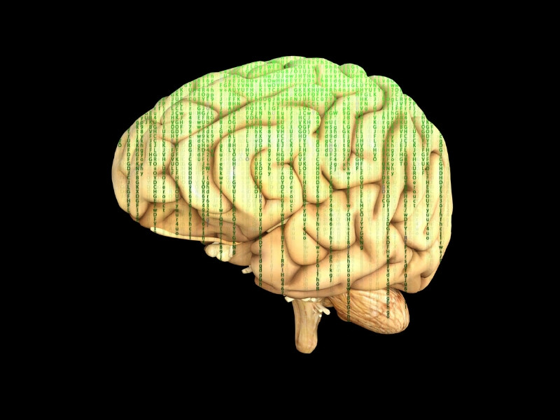 Citicoline là chất gì? Công dụng của Citicoline đối với não bộ
