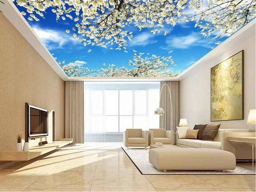 Mẫu trần nhà xuyên sáng đẹp và ấn tượng 