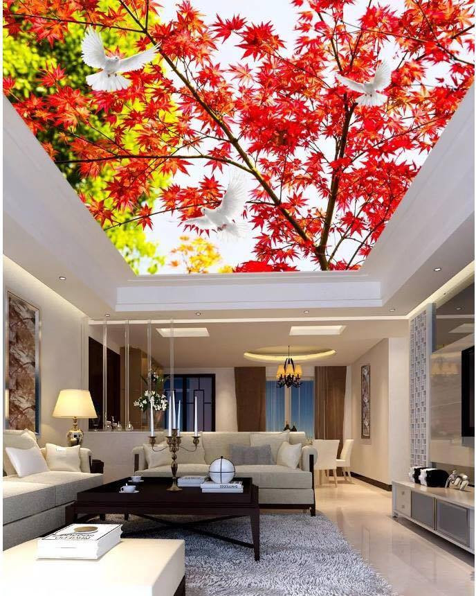 Mẫu trần nhà xuyên sáng đẹp và ấn tượng 