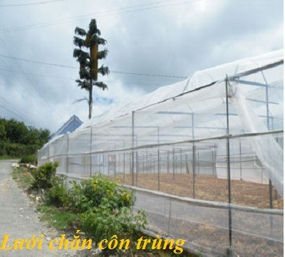 Lưới bao che côn trùng dùng bảo vệ cho cây trồng loại 200 lỗ