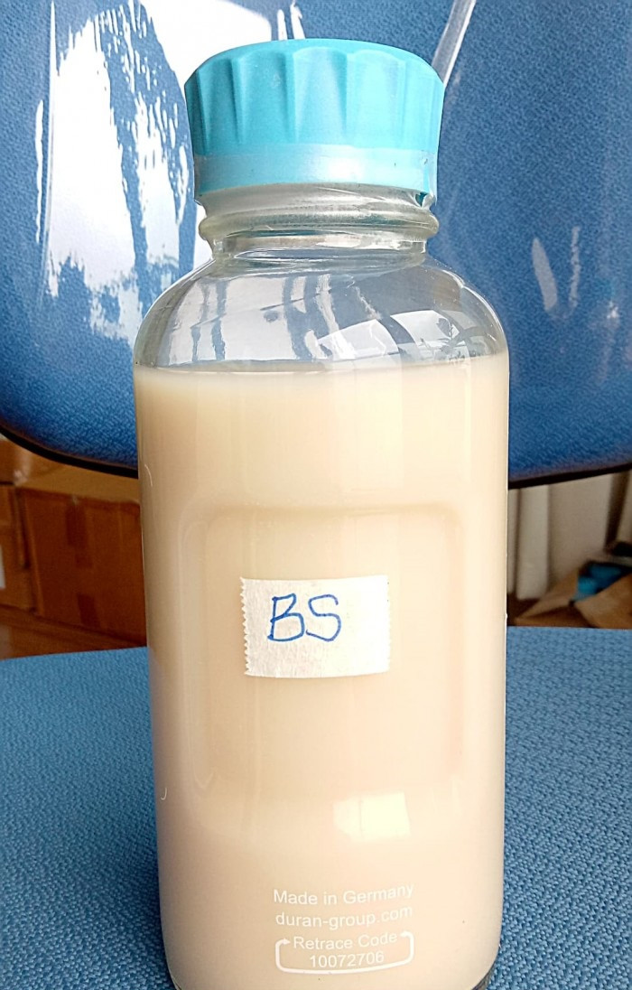 Men vi sinh Bacillus Subtilis là gì? Bacillus Subtilis có công dụng gì?(1)