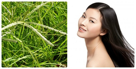 Bạn có biết 5 hóa chất cực độc tiềm ẩn trong dầu gội nhà bạn 