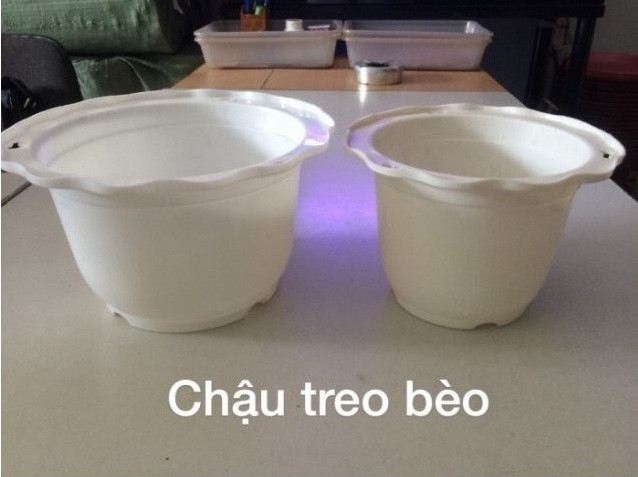 Chọn mua chậu hoa nhựa Thakico