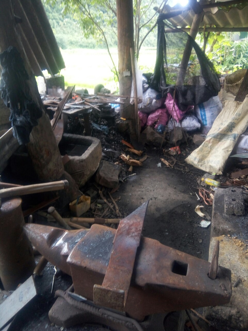 Kinh nghiệm lựa chọn cơ sở bán dao Phúc Sen thật