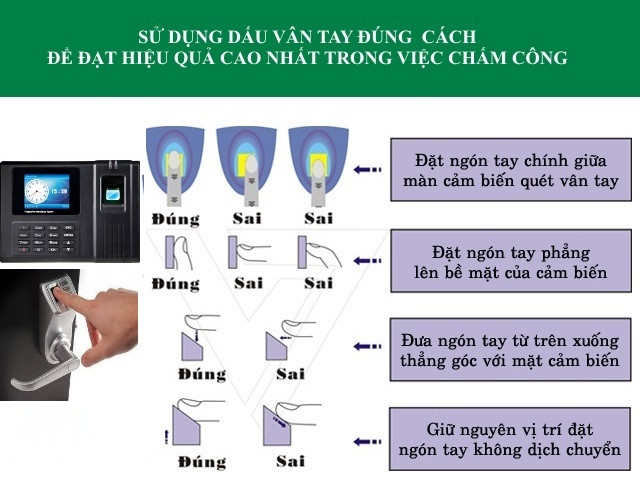Dịch vụ lắp máy chấm công vân tay tại Quận 6 TP Hồ Chí Minh