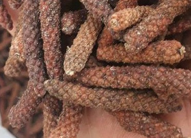 Tác dụng thần kỳ của tiêu lốt trong hỗ trợ chữa bệnh