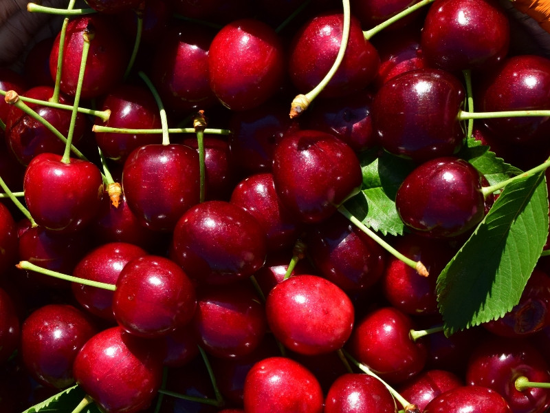 Quả Cherry ăn như thế nào?