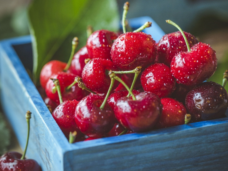 Ăn Cherry bao nhiêu là đủ