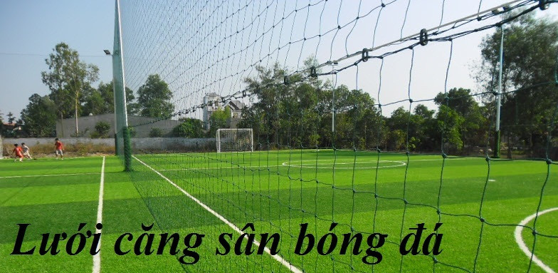 Cung cấp lưới bóng đá 700/21 chất lượng tốt, giá rẻ