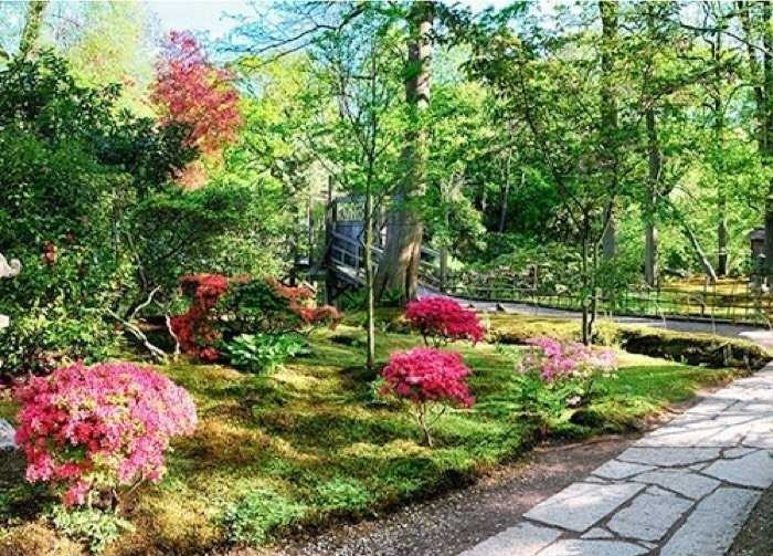 Mẫu tranh dán tường đẹp được nhiều người yêu thích