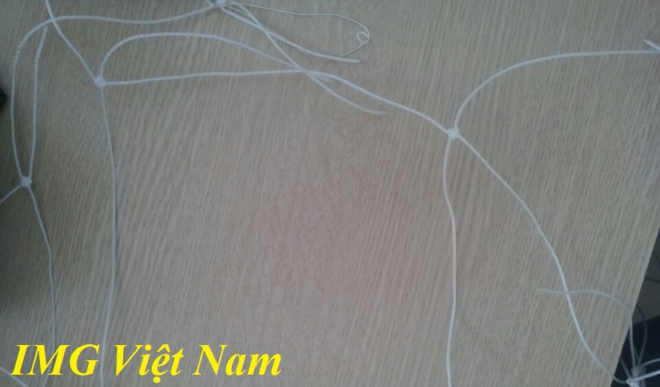 Lưới leo giàn cho cấy thân leo màu trắng