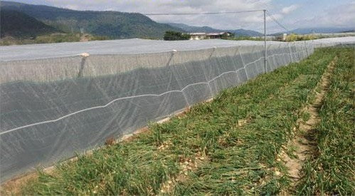 Công ty IMG - Kinh doanh các loại lưới chắn côn trùng cho cây trồng, vườn ươm, vật nuôi uy tín, giá rẻ